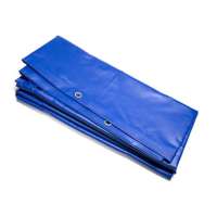 100% waterproof virgin pe tarpaulin china factory,100% raw material pe tarpaulin waterproof plastic